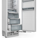  Thor Kitchen 24-inch, 12.5 cu. ft. Refrigerator with Interior Water Dispenser XRF24CRF IMAGE 5